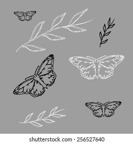 set Monarch Butterfly with open wings  top view seamless pattern