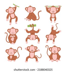 Set of monkey character poses vector illustration