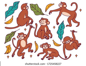 Set of Monkey in Different Poses Doodle