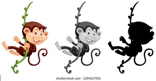 Set of monkey hanging on vine illustration