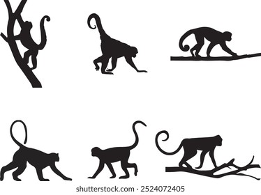 Set of monkey silhouette designs