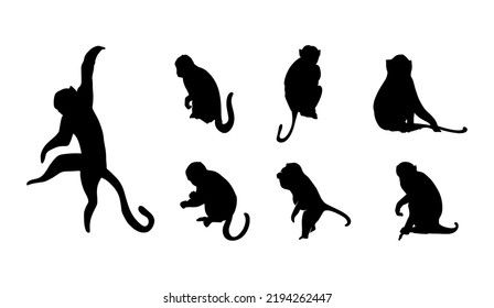 Set of Monkey Silhouette Illustrations 