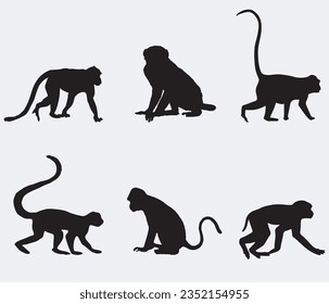 Set of Monkey Silhouette vector illustration