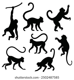 A set of monkey silhouettes. isolated vector on white background.