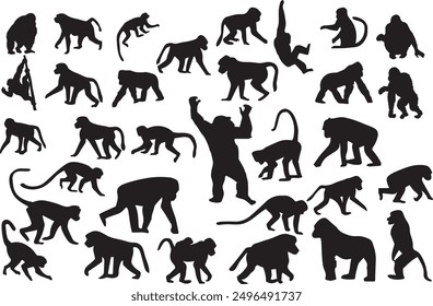 A set of monkey silhouettes on a white background. Perfect for designs about animals, nature, wildlife, primates, monkeys, apes, jungle, rainforest, conservation, and education