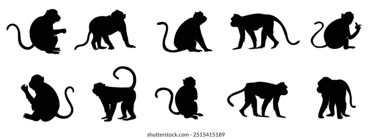 Set of monkey silhouettes Vector