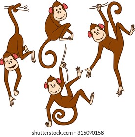 Set of monkeys in different poses