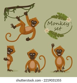 Monos en diferentes poses con hojas y flores de la selva