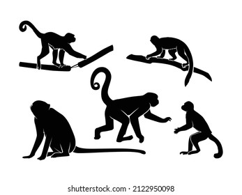 Set of Monkeys Silhouette Vector Isolated - Animal Silhouette Illustration