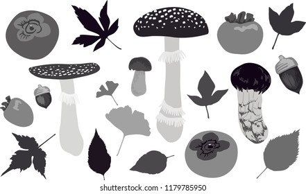 Set of monochrome autumn leaves and acorns and mushrooms and persimmons vector illustrations isolated on the white background
