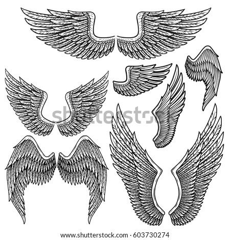 Set of monochrome bird wings of different shape in open position isolated on white background
