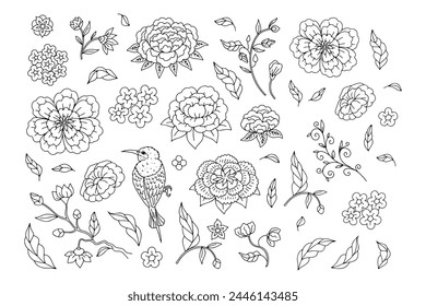 Set of monochrome black and white floral chinoiserie style flowers isolated on white background. Abstract hand drawn botanical clip art elements bundle.