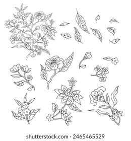 Set of monochrome black and white floral chinoiserie or indian style flowers set isolated on white background. Abstract hand drawn botanical clip art elements bundle.
