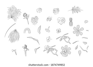 Set of monochrome boho tropical house plants and home decor objects black ink line art. Stock flat vector illustration.