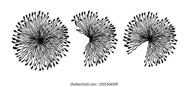 Set of monochrome dandelions. Decorative beautiful flowers line. Vector illustration