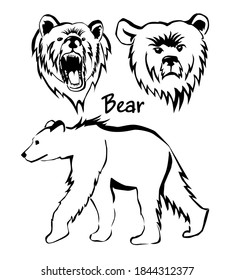 Set of monochrome drawings of a bear. Vector illustration
