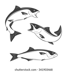 Set of monochrome fish. Vector EPS8 illustration.