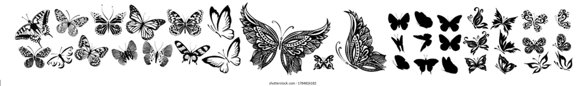 Set of monochrome graceful butterflies. Vector illustration