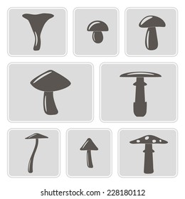 set of monochrome icons with mushrooms for your design