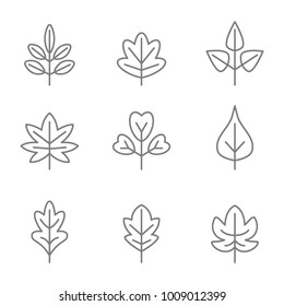 set of monochrome icons with vector leaves for your design