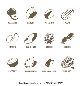 Set of monochrome, lineart food icons: nuts - hazelnut, almond, pistachio, pecan, cashew, brazil nut, walnut, peanut, coconut, pumpkin seeds, sunflower seeds and pine nuts. Vector illustration.