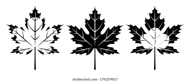 Conjunto de hojas de arce monocromáticas. Ilustración vectorial.