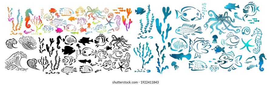 Set of monochrome and multicolored marine life. Vector illustration of set of sea creatures