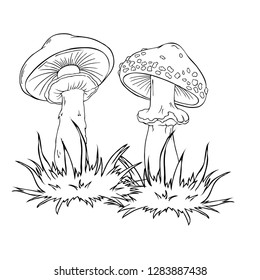 Set of monochrome mushrooms and forest grass isolated on white background. Hand drawn vector illustration.