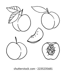 Set of monochrome peaches in doodle style. Vector linear isolated elements on a white background.