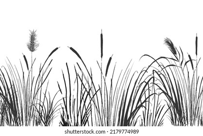 Set of a monochrome reed or bulrush on a white background.Isolated vector drawing.