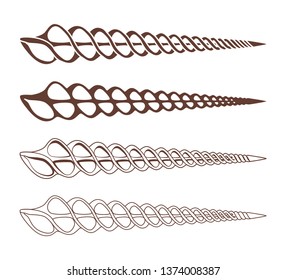 Set of monochrome seashells on an isolated white background.
