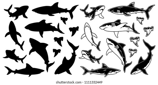 Set of monochrome Shark vector silhouettes. Sea fish, animal swimming, fauna illustration. For graphic emblems