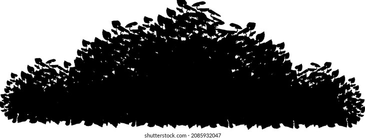 Set of monochrome silhouette of shrubs and trees. Decorative design element in black and white colors.Horizontal panorama with thicket of  garden plants.