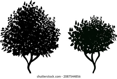 Set of monochrome silhouette of shrubs and trees. Decorative design element in black and white colors.Horizontal panorama with thicket of  garden plants.