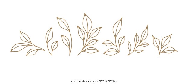 Set monochrome simple leaves botanical branches with stem and foliage vector illustration. Floral decorative design elements blossom outline summer spring plant isolated on white. Hand drawn wreath