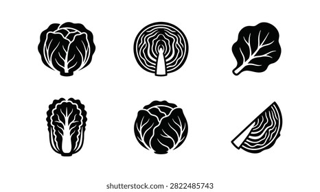 Set of monochrome vector icons featuring various fresh cabbage types and leaves