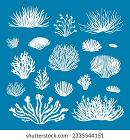 Set of monochrome vector silhouettes of seaweed of different shapes, highlighted on a blue background Underwater flora, marine plants. Linear clipart. Vintage marine plants