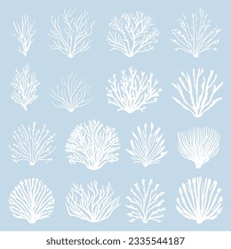 Set of monochrome vector silhouettes of seaweed of different shapes, highlighted on a blue background Underwater flora, marine plants. Linear clipart. Vintage marine plants