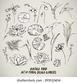 Set of monochrome vintage pond water flowers vector elements, Botanical shabby chic illustration reeds, lily, iris, wildflowers leaves and twigs.