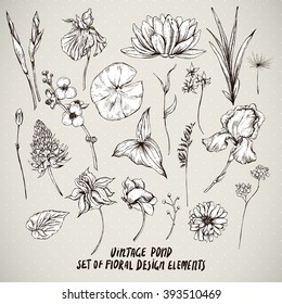 Set of monochrome vintage pond water flowers vector elements, Botanical flower decoration shabby chic illustration reeds, lily, iris, isolated natural floral wildflowers leaves and twigs.