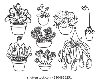 Set of monster flowers and plants. Collection of Halloween flower predatory. Spooky plants. Vector illustration of scary festive nature. Drawing with children.