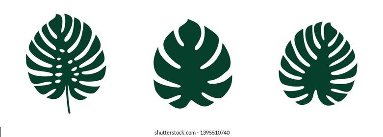 set Monstera deliciosa Leaf Logo Vector Template Illustration Design. Vector EPS 10.