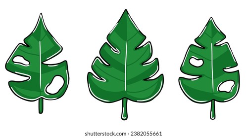 Set with monstera exotic leaves in cartoon style. Vector illustration
