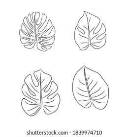 Set monstera leaf line art hand drawn. Contour drawing. Minimalism art. Modern decor 