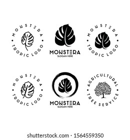 Set of Monstera Leaf Logo Design Template