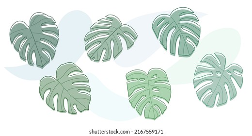 Set of monstera leaf of tropical plants. Outline palm leaf in a trendy minimalist liner style. Vector Illustration. Elements for your seasonal graphic design.