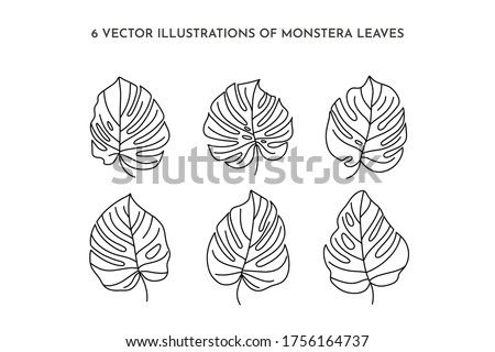 Set of Monstera leaf of tropical plants. Outline Palm leaf In a Trendy Minimalist liner Style. Vector Illustration. For printing on t-shirt, Web Design, beauty Salons, Posters, tattoo creating a logo