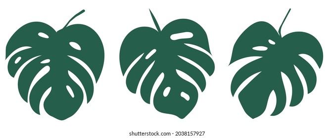 set of monstera leaves. The design of the Illustration of the vector Template of the Monstera Sheet Logo..