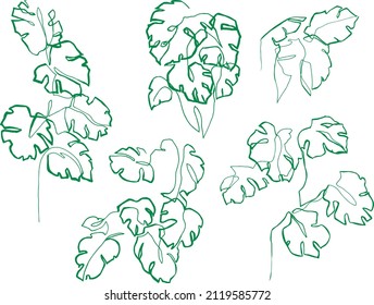 Set Monstera Leaves Drawing Green Tropical Stock Vector (Royalty Free