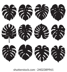 Set of Monstera Leaves on the white background. Monstera Leaves silhouette . Vector EPS 10.